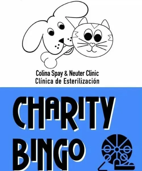 Colina Spay and Neuter Clinic Bingo
