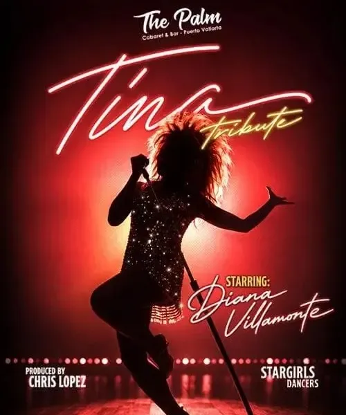 Tina: The Tribute Starring Diana Villamonte