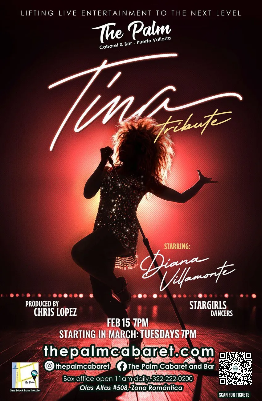 Tina: A Tribute By Diana Villamonte