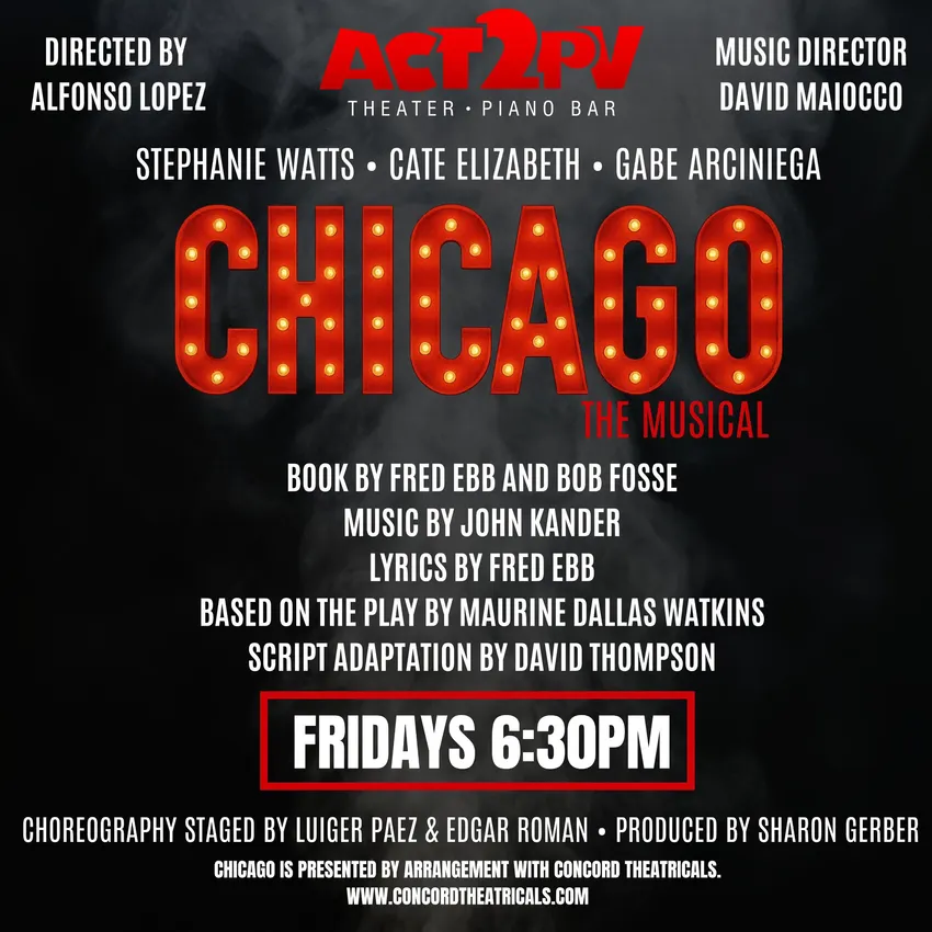 Chicago the Musical