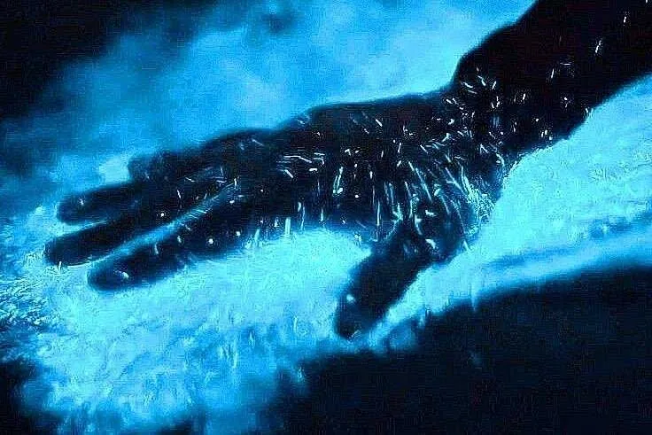 Bioluminescence Sunset Boat Tour to Los Arcos Sanctuary