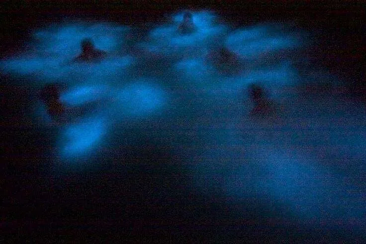 Bioluminescence Sunset Boat Tour to Los Arcos Sanctuary photo 1