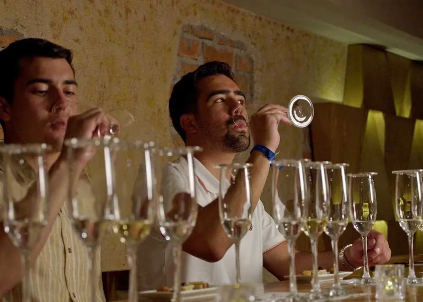 Tequila Tasting and Immersive Experience