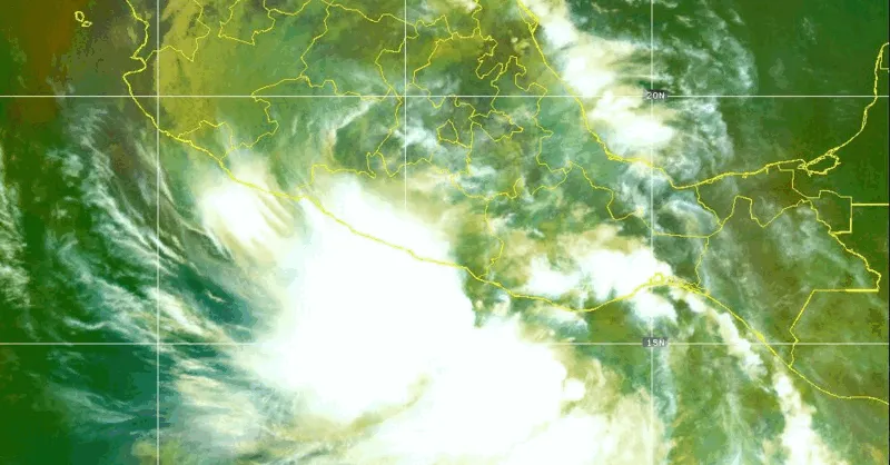 Storms, Huge Predator Crossing, Beach Hazards, and Medical Crackdowns โ photo 1