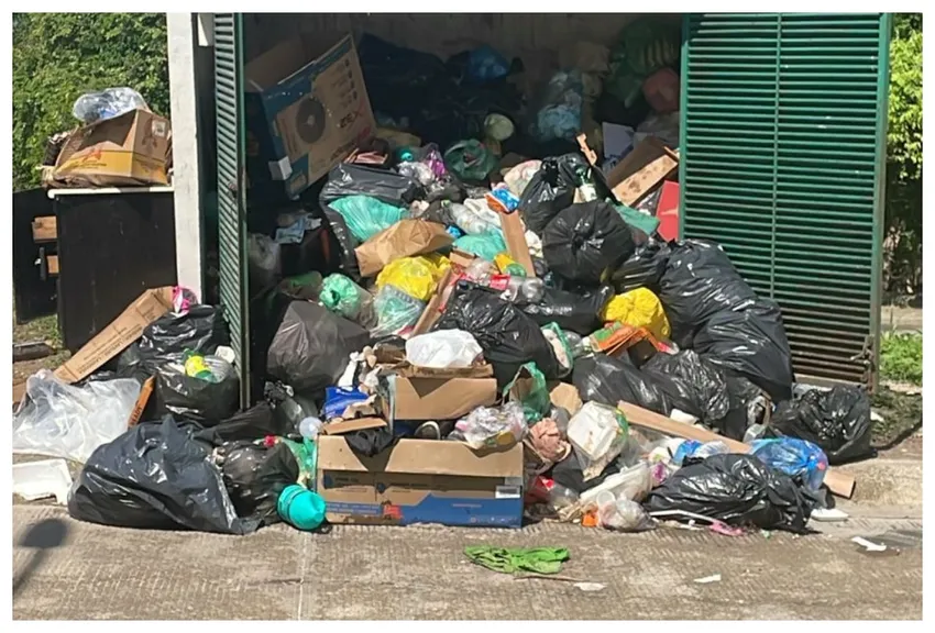 Local Victories, Trash Deadlines, Lifeguard Upgrades, and Neighborhood Environmental Battles — photo 1
