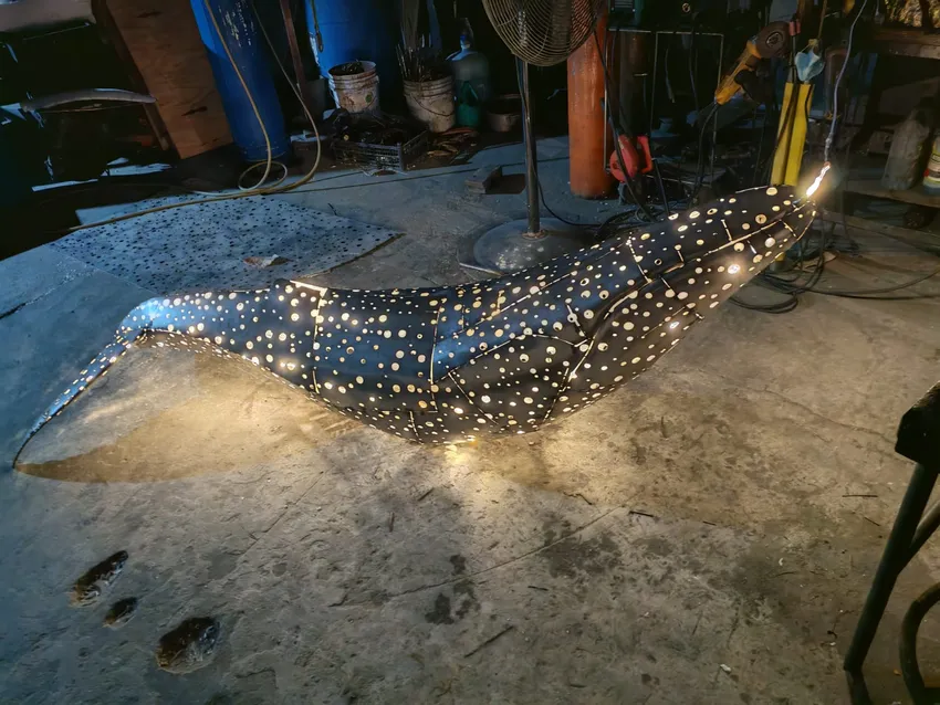 Festivals, Whales, Chocolate, Football, and Crocs