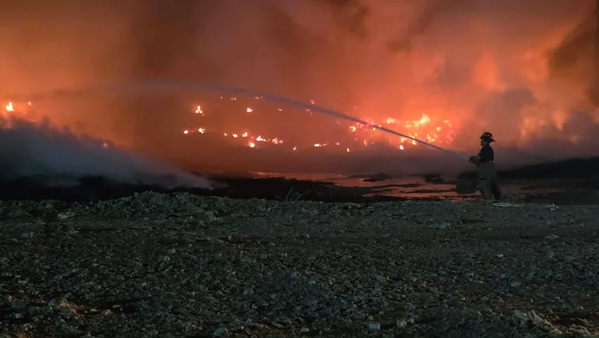 Coffee Talk, Wildfires, Beach Goodness, Milestone Prep, and Gator Encounters
