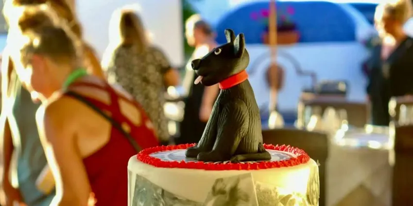 Bow Wow Gala: A Night of Paws, Purpose, and Pure Magic