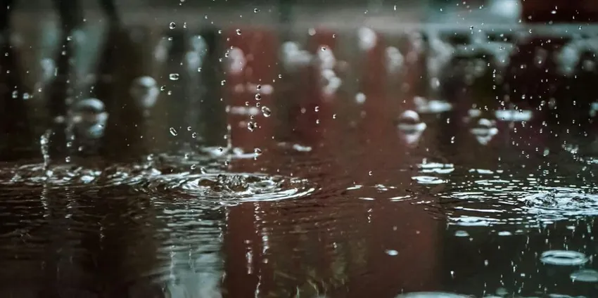 ‘Chipichipi’ Drizzle