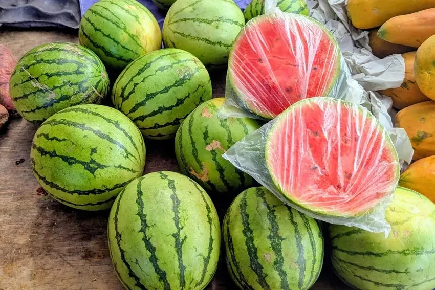 watermelon pile