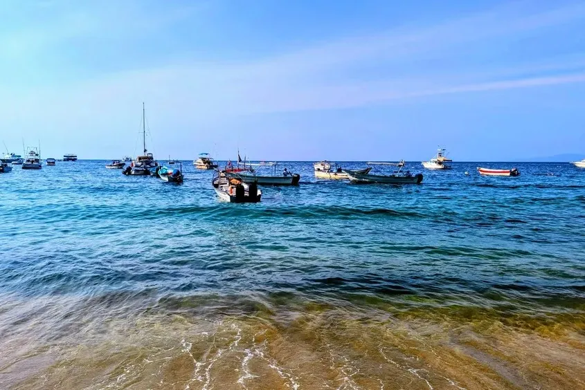 boats