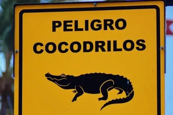 beware of crocodiles