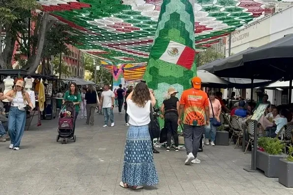 Crocodiles, Funds, Soccer Success, Gen-X Pats Event, and Fan Disruptions