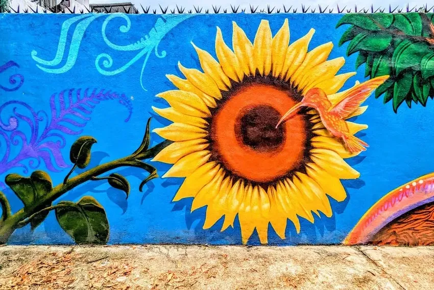hummingbird street art