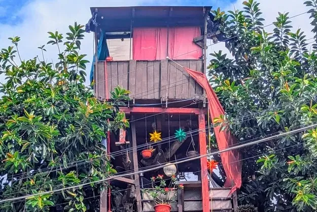 tree house