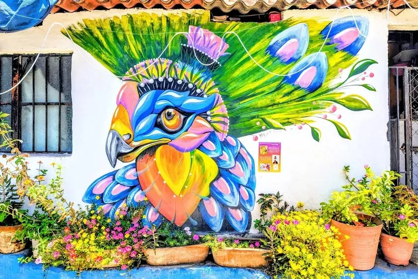 Moving to Mexico (Part 9 of 10) — photo 4