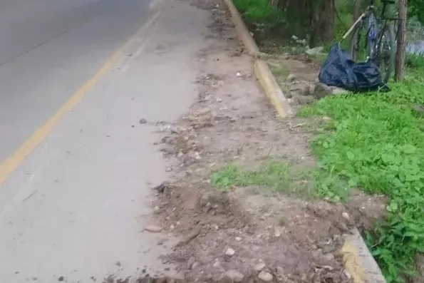 Trash Collection Changes, Stalled Bike Paths, and Fatal Highway Pileups โ photo 2