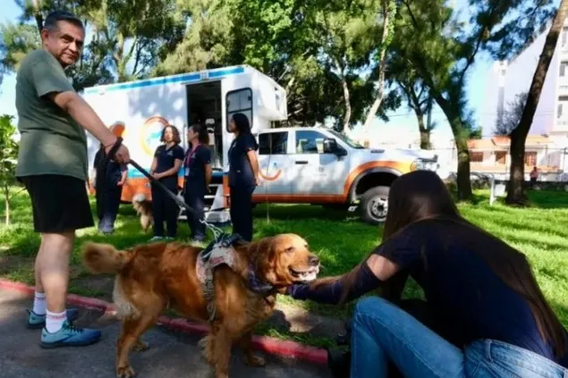 Bucerias Arrests Identified, Rabies Vaccinations, Water Repairs, and Autism Center