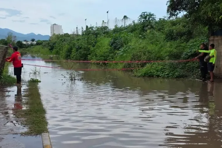 High Ocean Swells, Road Closures, Local Crocodile, and Harry Styles