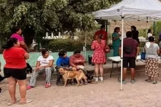 Hotel Occupancy Jumps While Airport Dogs Check Bags, Basketball Returns โ photo 3