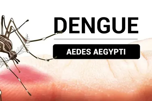 Water Outage Looms, Dengue Drops, Severe Storms Hit, Cucosta Opens โ photo 1