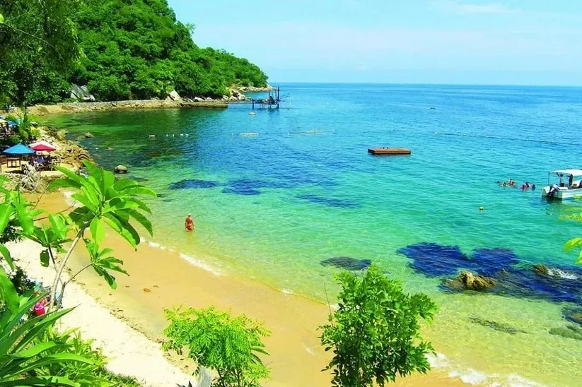 Puerto Vallarta Wins 2026 TripAdvisor Honors — photo 1