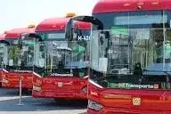 Buses, Paco Ruiz Award, Cheap Movies, La Parota Regularized — photo 1