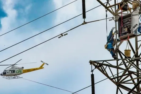Bee Swarm, Lost Tourist, Oyster Harvest, and National Power Blackout โ photo 3