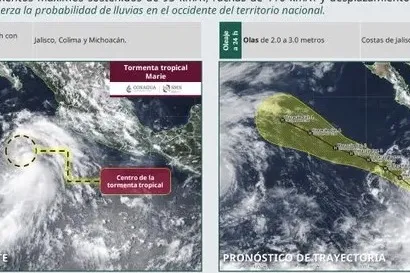 Tropical Storm, Banamex Crash, Versalles Tree, New Amado Nervo Avenue — photo 1