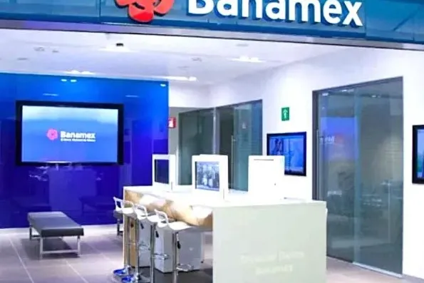 Tropical Storm, Banamex Crash, Versalles Tree, New Amado Nervo Avenue — photo 2