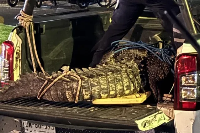Sustainable Growth, Water Service Shutoffs, Crocodile Safety, Jalisco Farm Protests