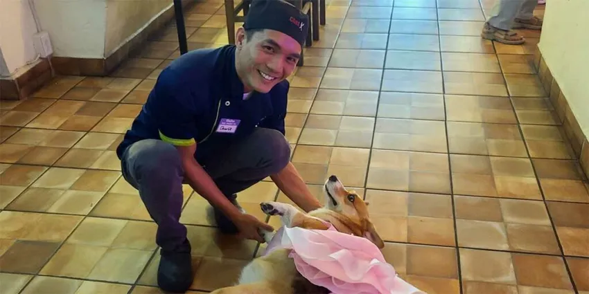 Dinner and Gay Mixer at Let’s Pho