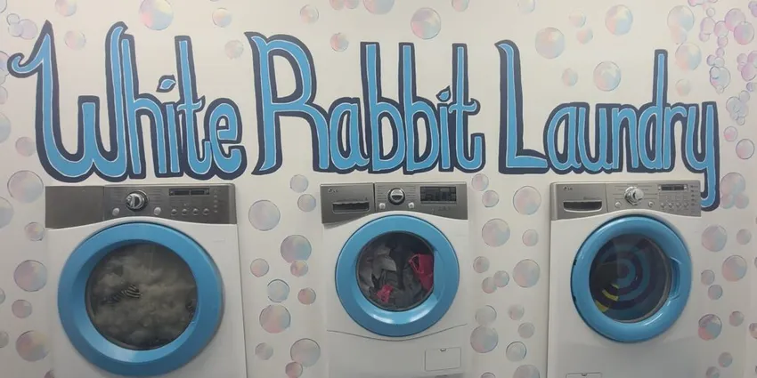 Down the Rabbit Hole in Vallarta