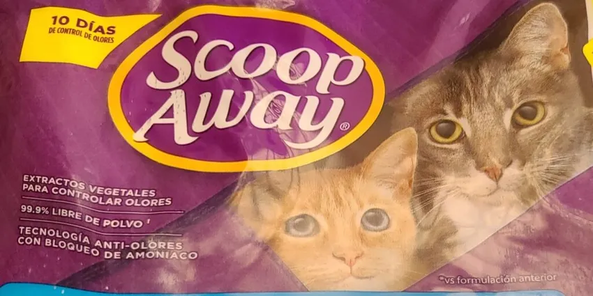 Kitty Litter and New Artist Spotlight