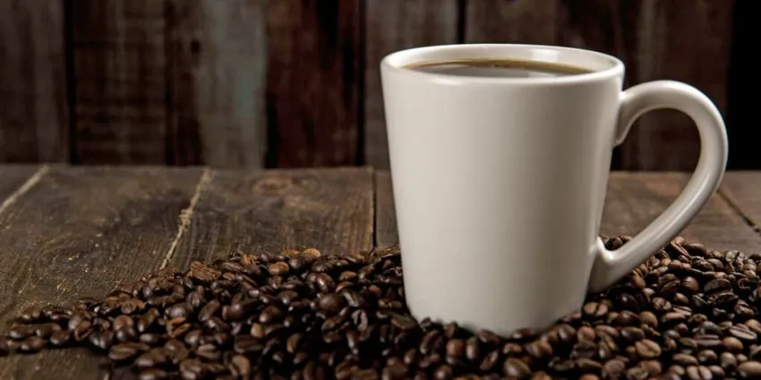 Mexico’s Coffee, Culture, and Community at La Barra Del Remance
