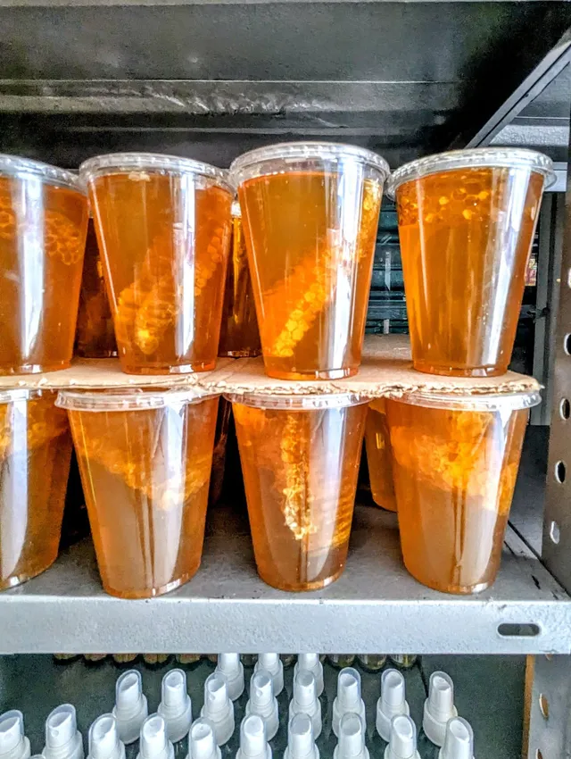 Jalisco Honey — photo 1