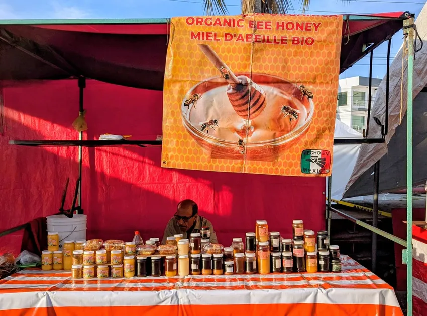Jalisco Honey — photo 6