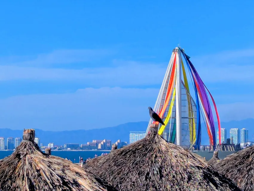 bird, palapa, pier