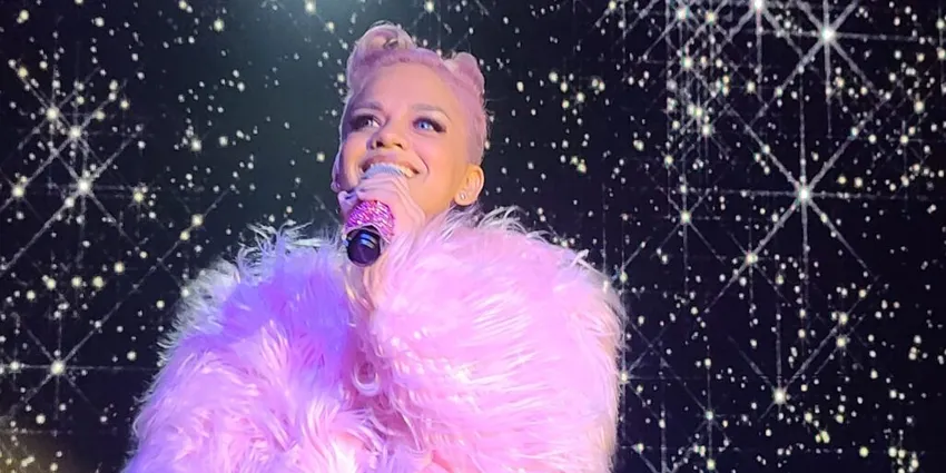 Spectacular Tribute to Pink at The Palm