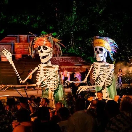 13 Things to Do in Puerto Vallarta