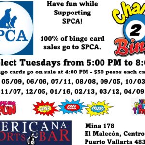 SPCA PV Charity Bingo