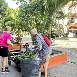 Morning Planter Box Maintenance & MIMOSAS