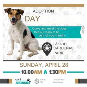 Dog Adoption Day