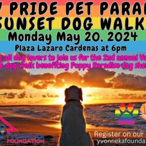PV Pride Pet Parade Sunset Dog Walk