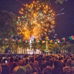 Independence Day Fireworks