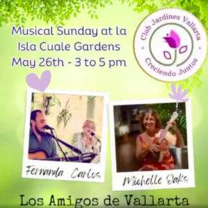 Sunday Music in The Park