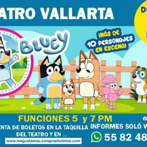 Bluey: Live Show