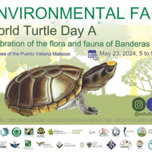 Environmental Fair: World Turtle Day