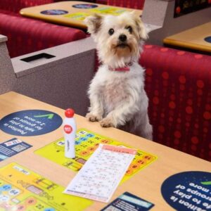 Colina Charity Bingo – Last of the Season