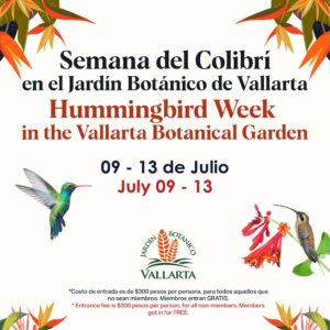 Hummingbird Week: Guided Tours, Hummingbird Feedings and More!